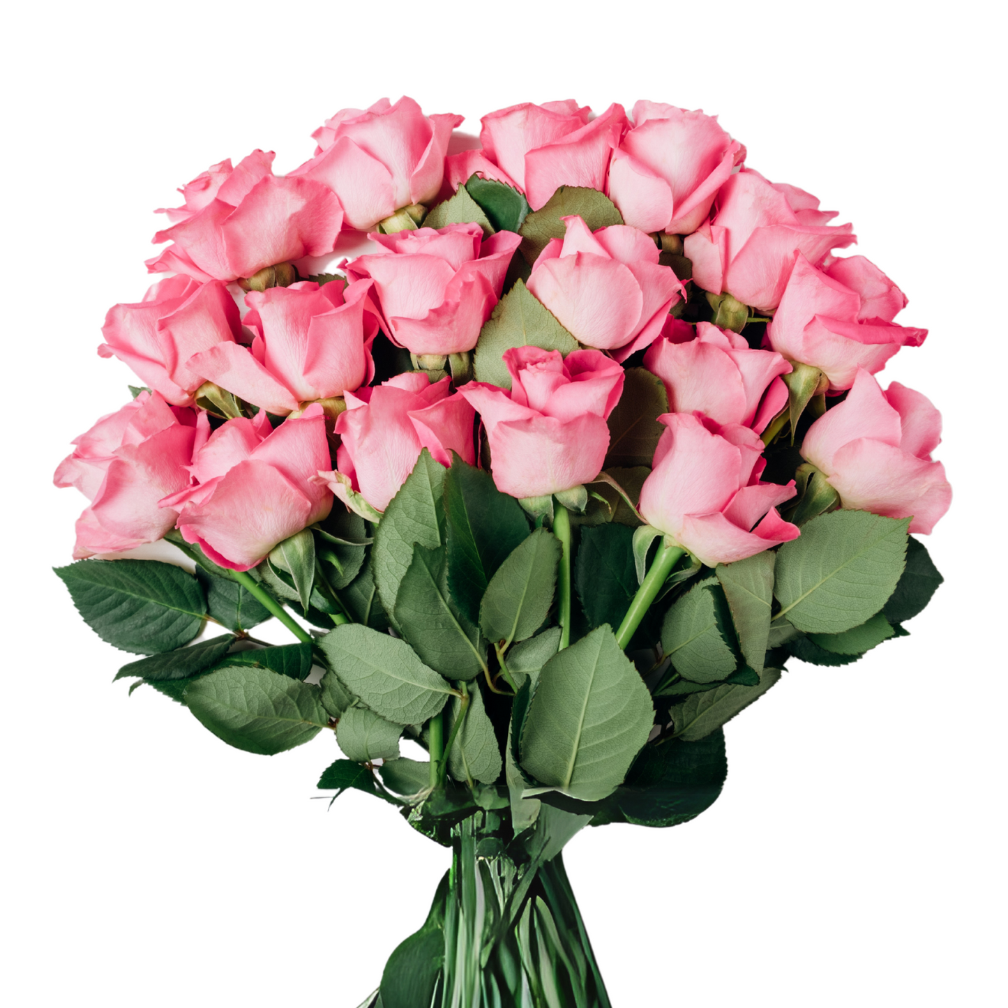 Long-stem roses 40-60cm